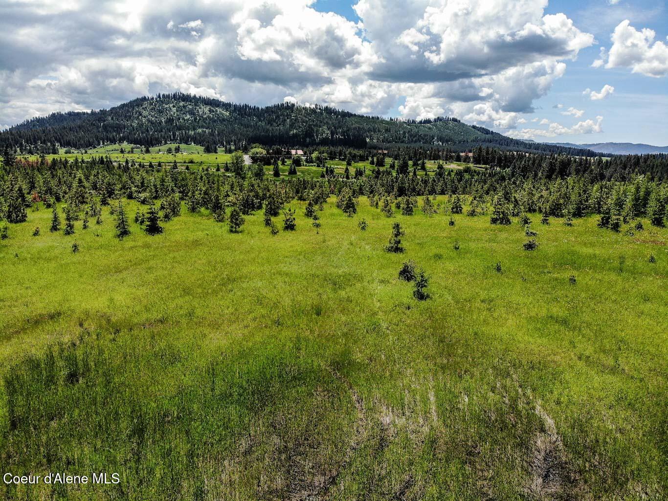 6 East Rd Harrison Id 83833 Road Harrison, ID 83833 - Photo 31 of 32 DJI_0685_edited