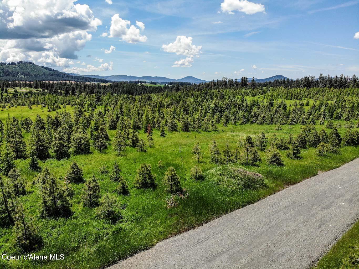 6 East Rd Harrison Id 83833 Road Harrison, ID 83833 - Photo 4 of 32 DJI_0687_edited