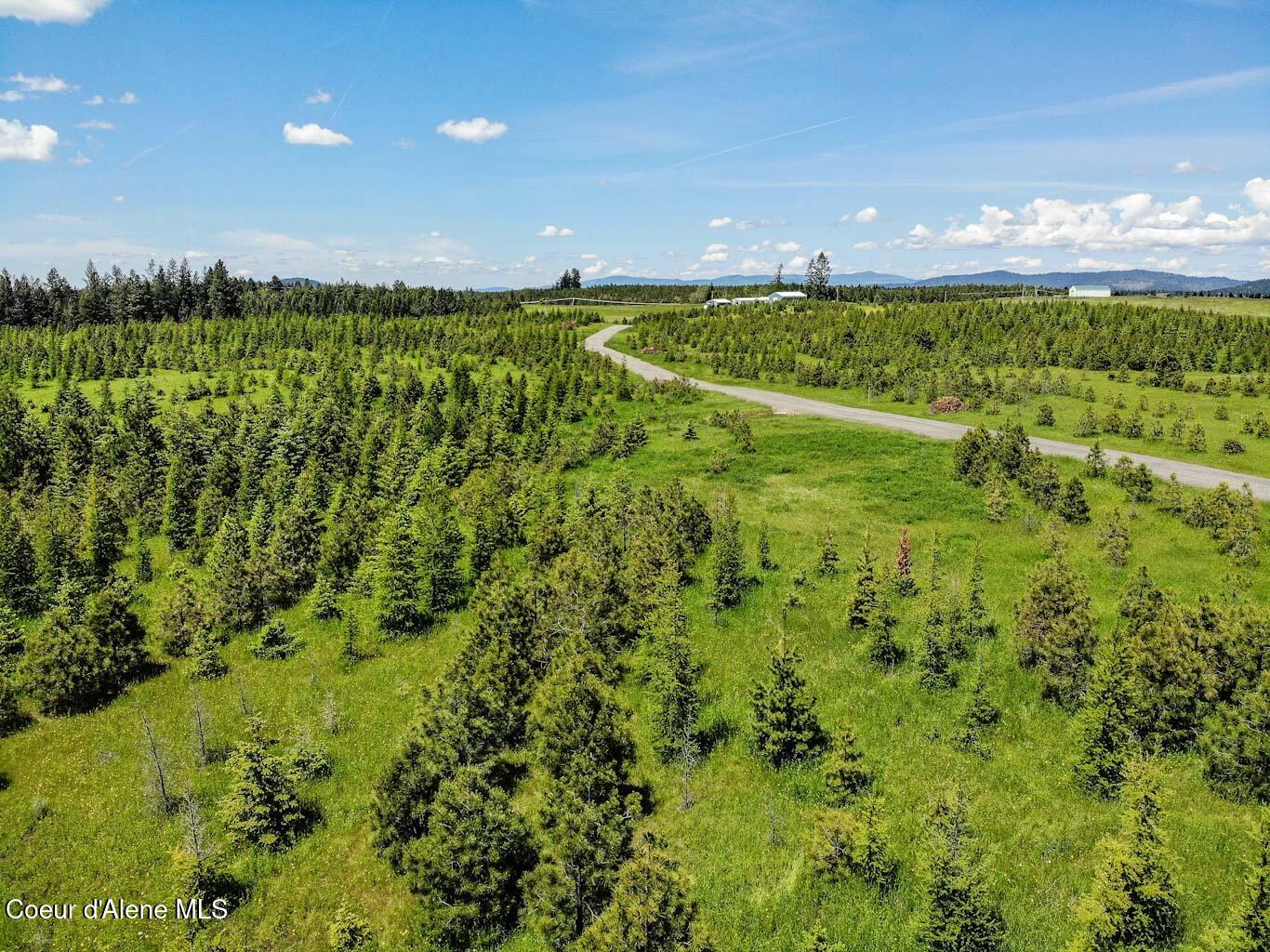 6 East Rd Harrison Id 83833 Road Harrison, ID 83833 - Photo 6 of 32 DJI_0686_edited