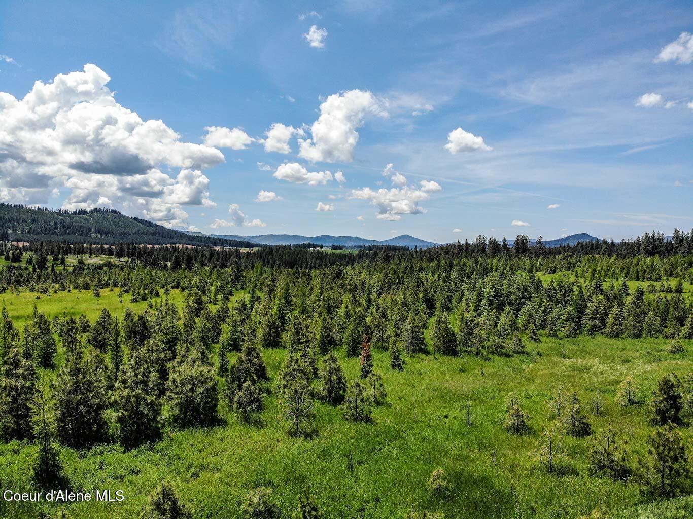 6 East Rd Harrison Id 83833 Road Harrison, ID 83833 - Photo 7 of 32 DJI_0660_edited