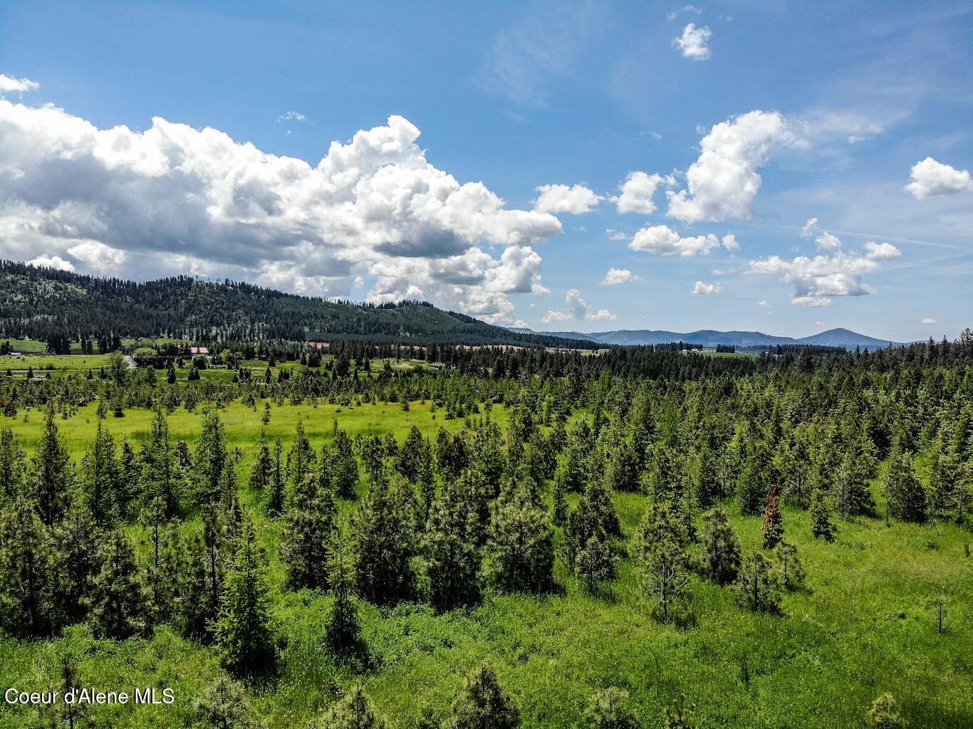 6 East Rd Harrison Id 83833 Road Harrison, ID 83833 - Photo 8 of 32 DJI_0661_edited