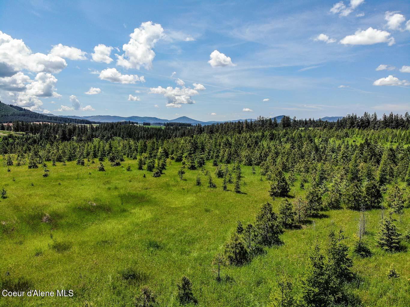 6 East Rd Harrison Id 83833 Road Harrison, ID 83833 - Photo 9 of 32 DJI_0662_edited