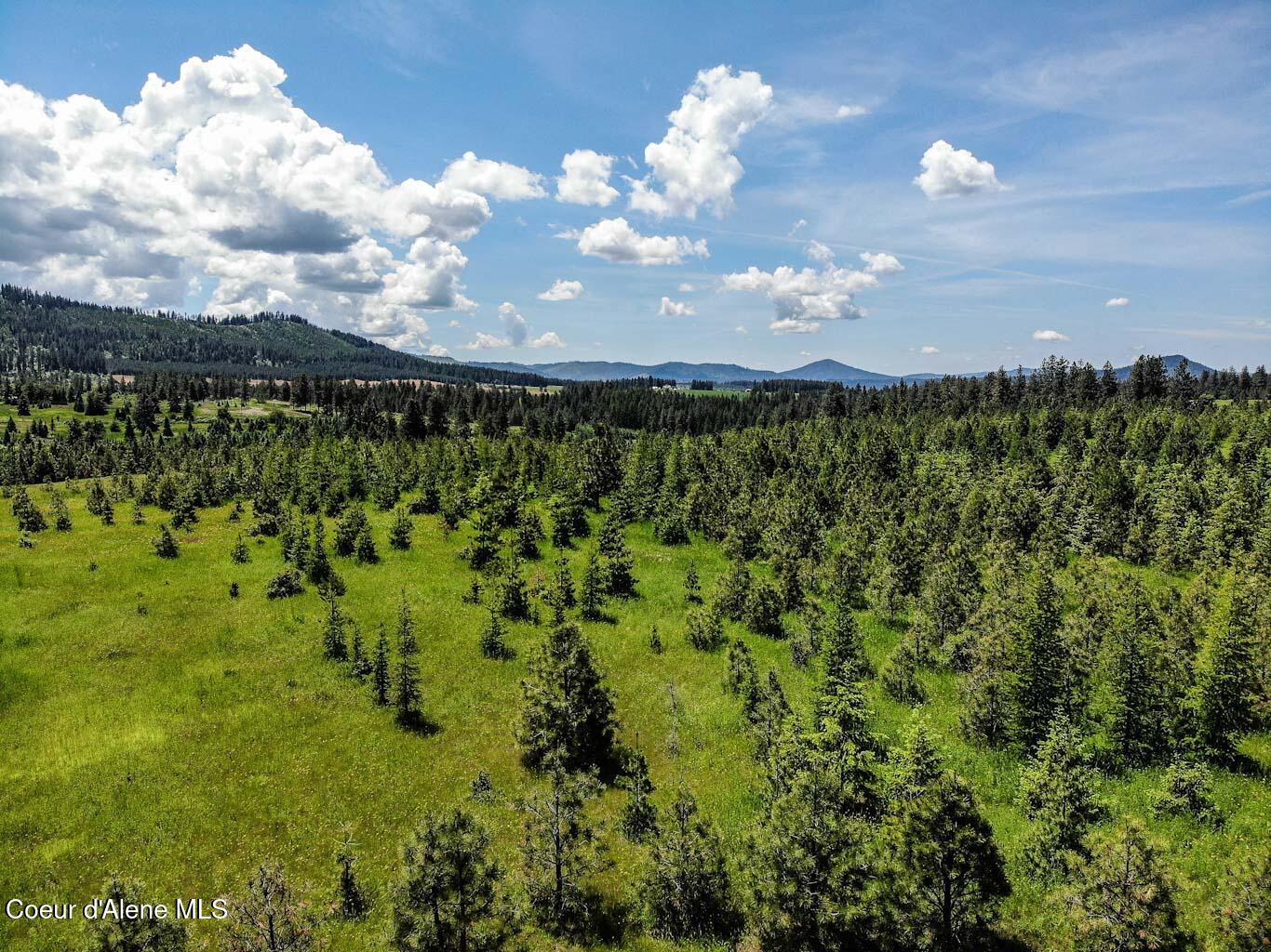 6 East Rd Harrison Id 83833 Road Harrison, ID 83833 - Photo 10 of 32 DJI_0663_edited