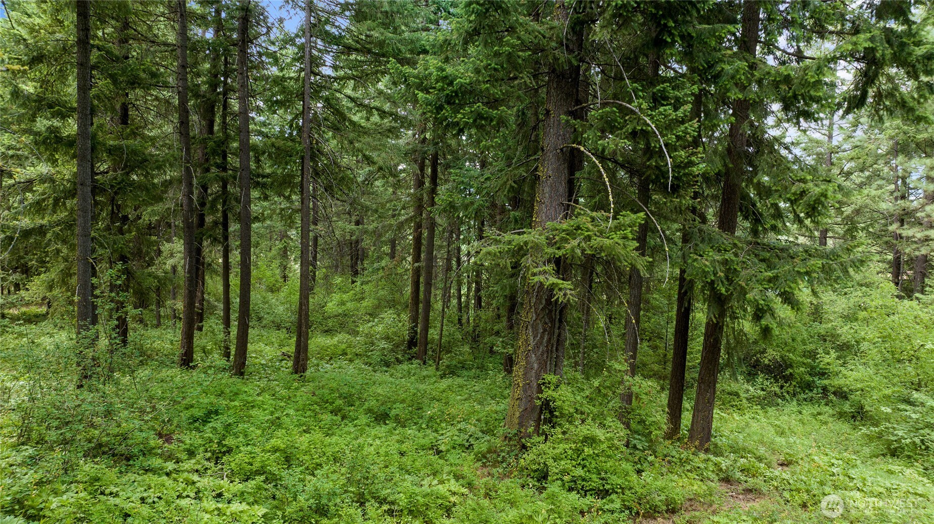 243 Bull Elk Road Cle Elum, WA 98922 - Photo 11 of 17 Gallery Image 11
