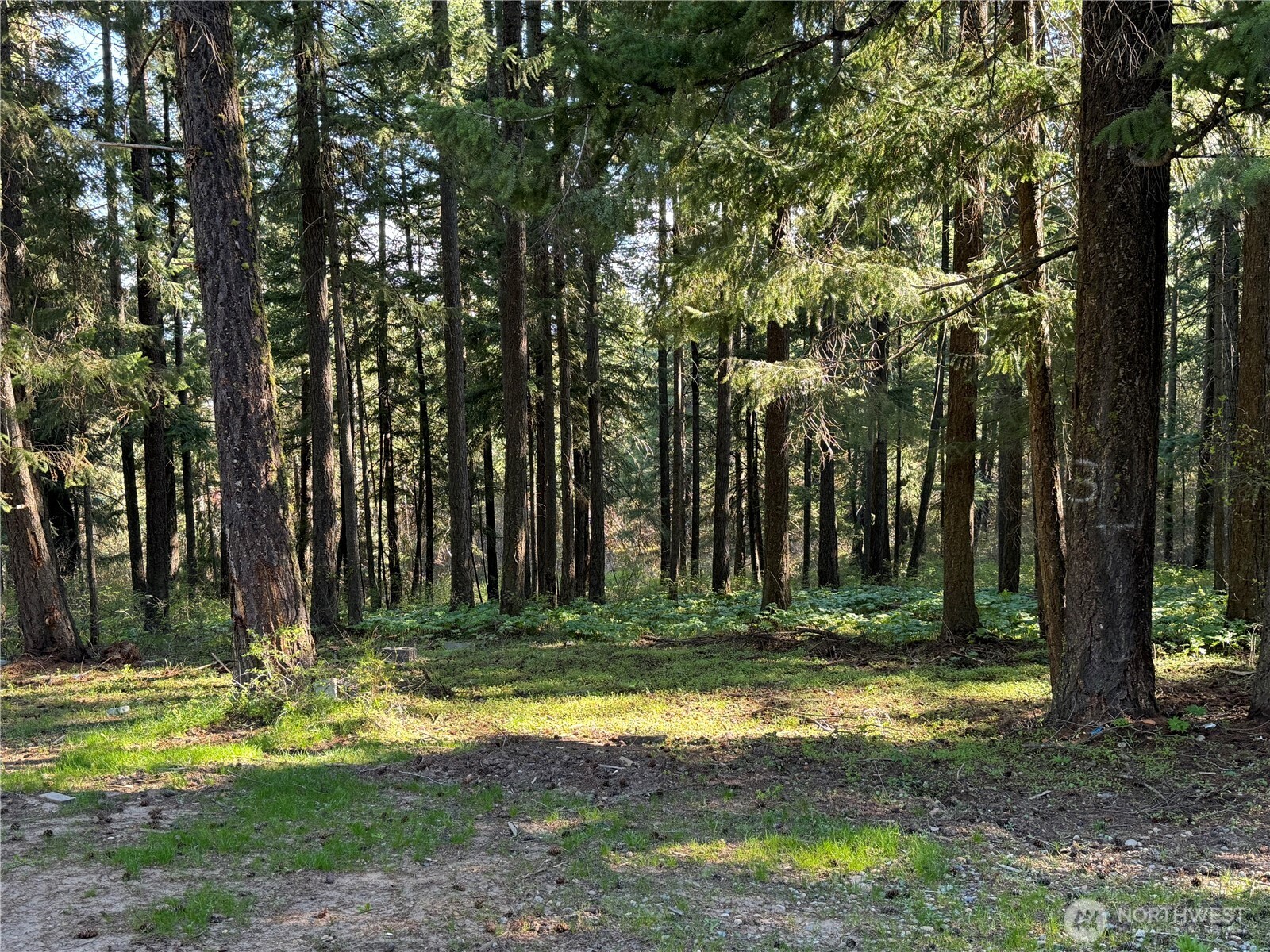243 Bull Elk Road Cle Elum, WA 98922 - Photo 4 of 17 Gallery Image 4