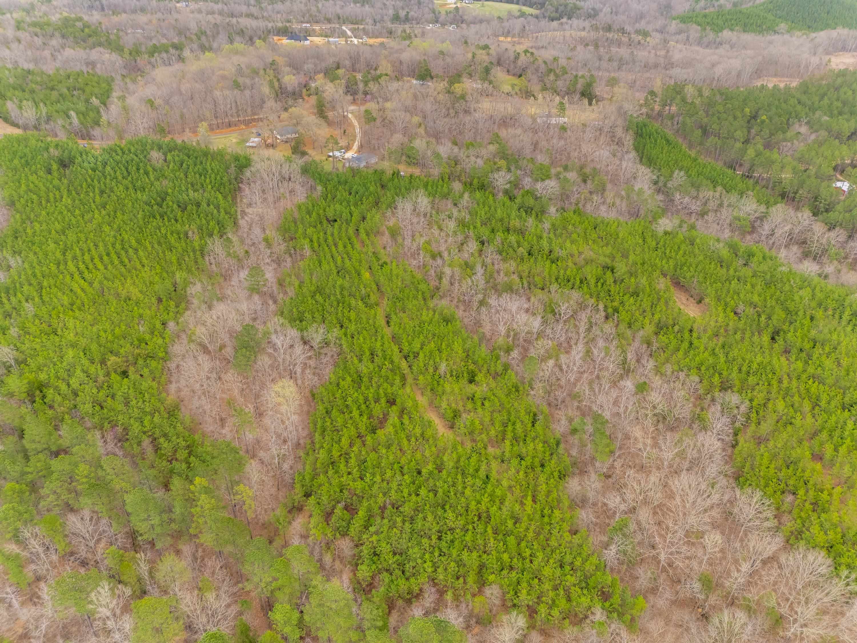 1220 Martin Road Hickory Grove, SC 29717 - Photo 11 of 12