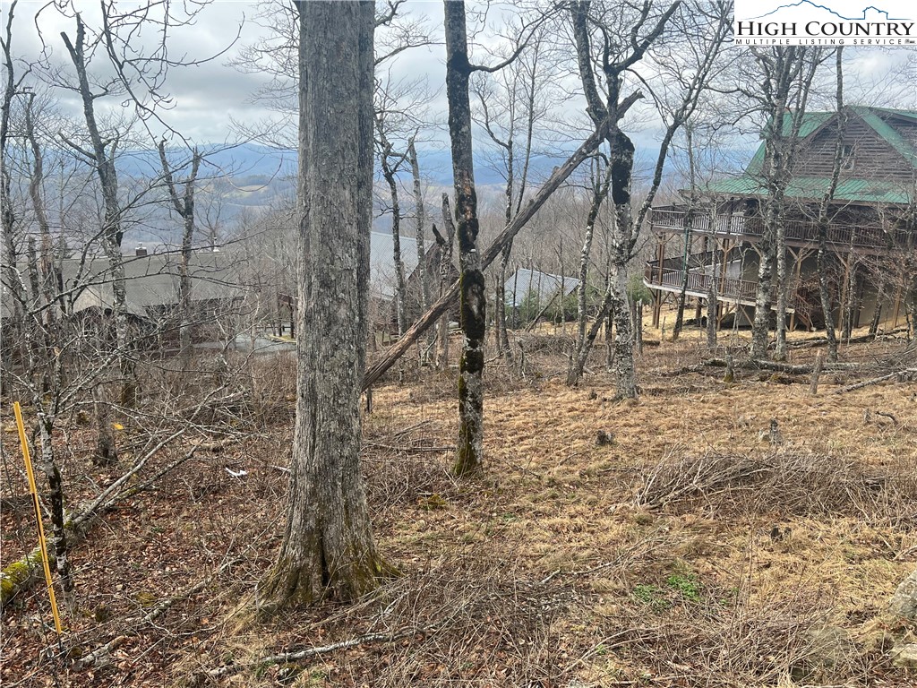 116 North Pinnacle Ridge Road Beech Mountain, NC 28604 - Photo 2 of 8