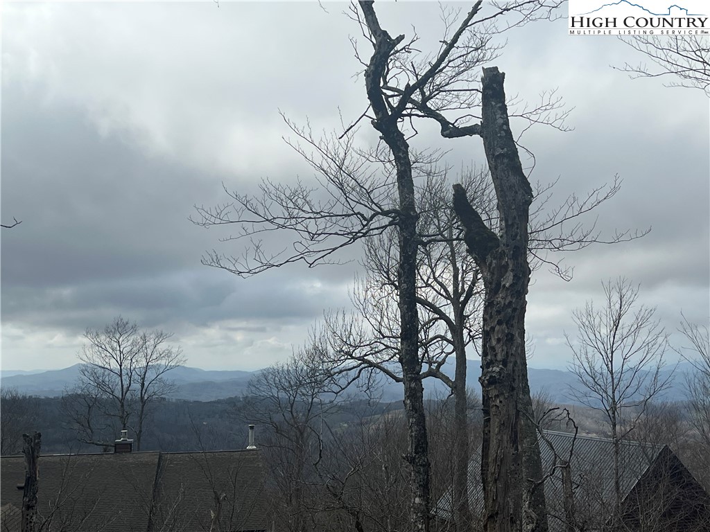 116 North Pinnacle Ridge Road Beech Mountain, NC 28604 - Photo 4 of 8