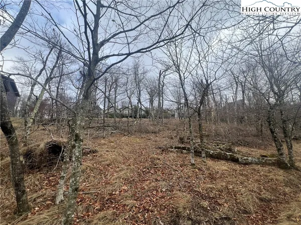 $110,000 | 116 North Pinnacle Ridge Road, Beech Mountain, NC 28604