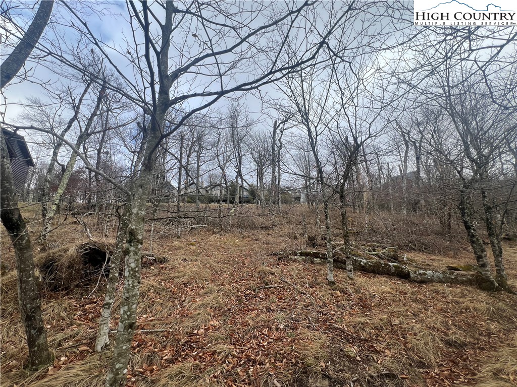 116 North Pinnacle Ridge Road Beech Mountain, NC 28604 - Photo 6 of 8