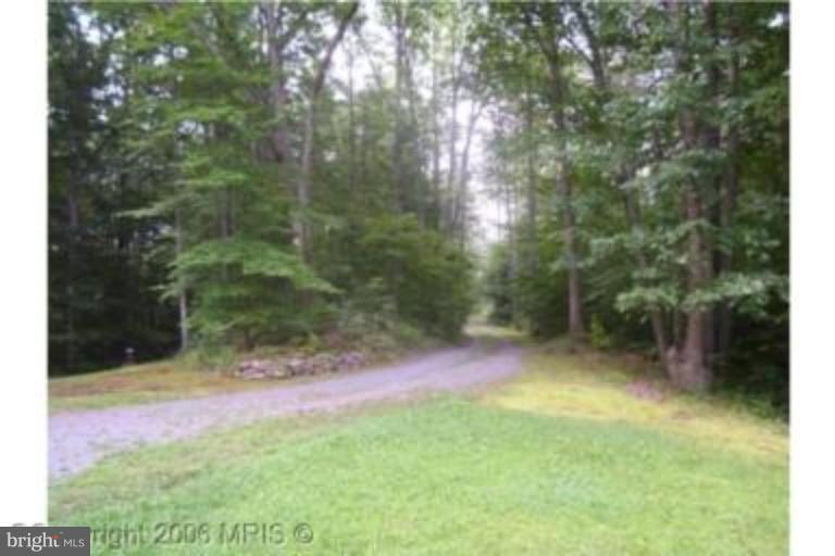 12419 Hazel River Road Rixeyville, VA 22737 - Photo 13 of 14 Wooded View / Acreage