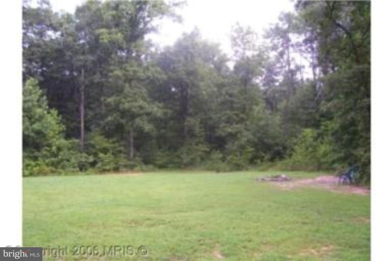 12419 Hazel River Road Rixeyville, VA 22737 - Photo 14 of 14 Wooded View / Acreage 2