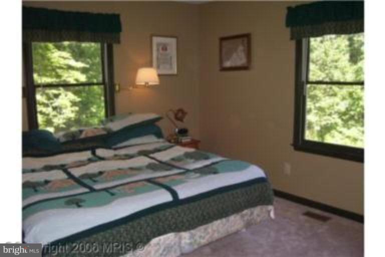 12419 Hazel River Road Rixeyville, VA 22737 - Photo 4 of 14 Master Bedroom
