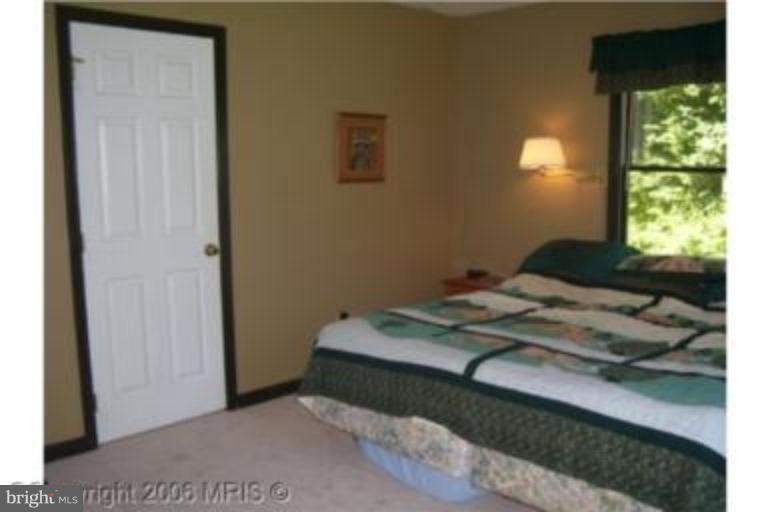 12419 Hazel River Road Rixeyville, VA 22737 - Photo 5 of 14 Master Bedroom #2