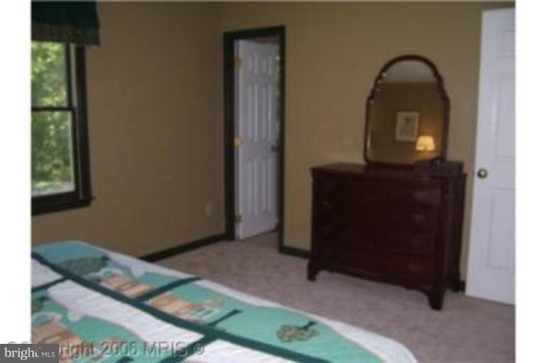12419 Hazel River Road Rixeyville, VA 22737 - Photo 6 of 14 Master Bedroom #3