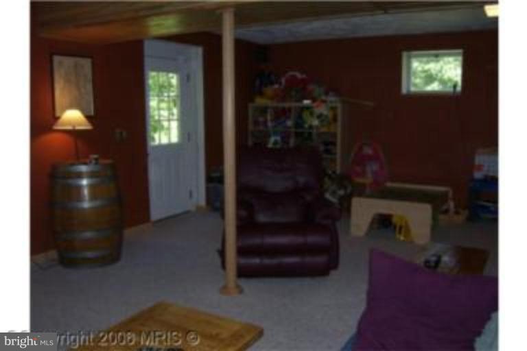 12419 Hazel River Road Rixeyville, VA 22737 - Photo 8 of 14 Recreation Room