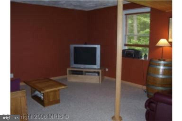 12419 Hazel River Road Rixeyville, VA 22737 - Photo 9 of 14 Recreation Room #2