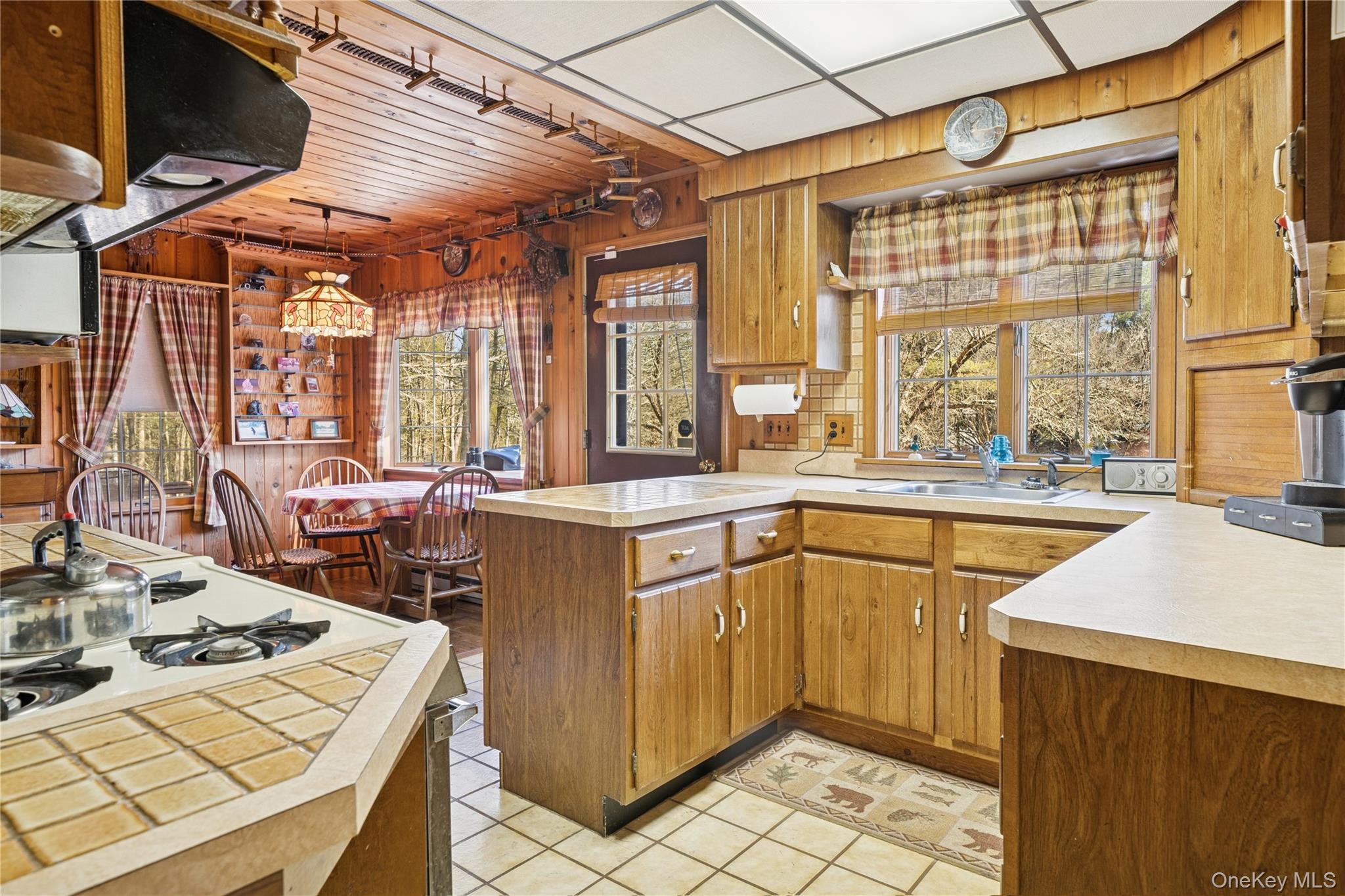 37 Nober Strunk Road Narrowsburg, NY 12764 - Photo 15 of 50 a kitchen with a sink stove and cabinets