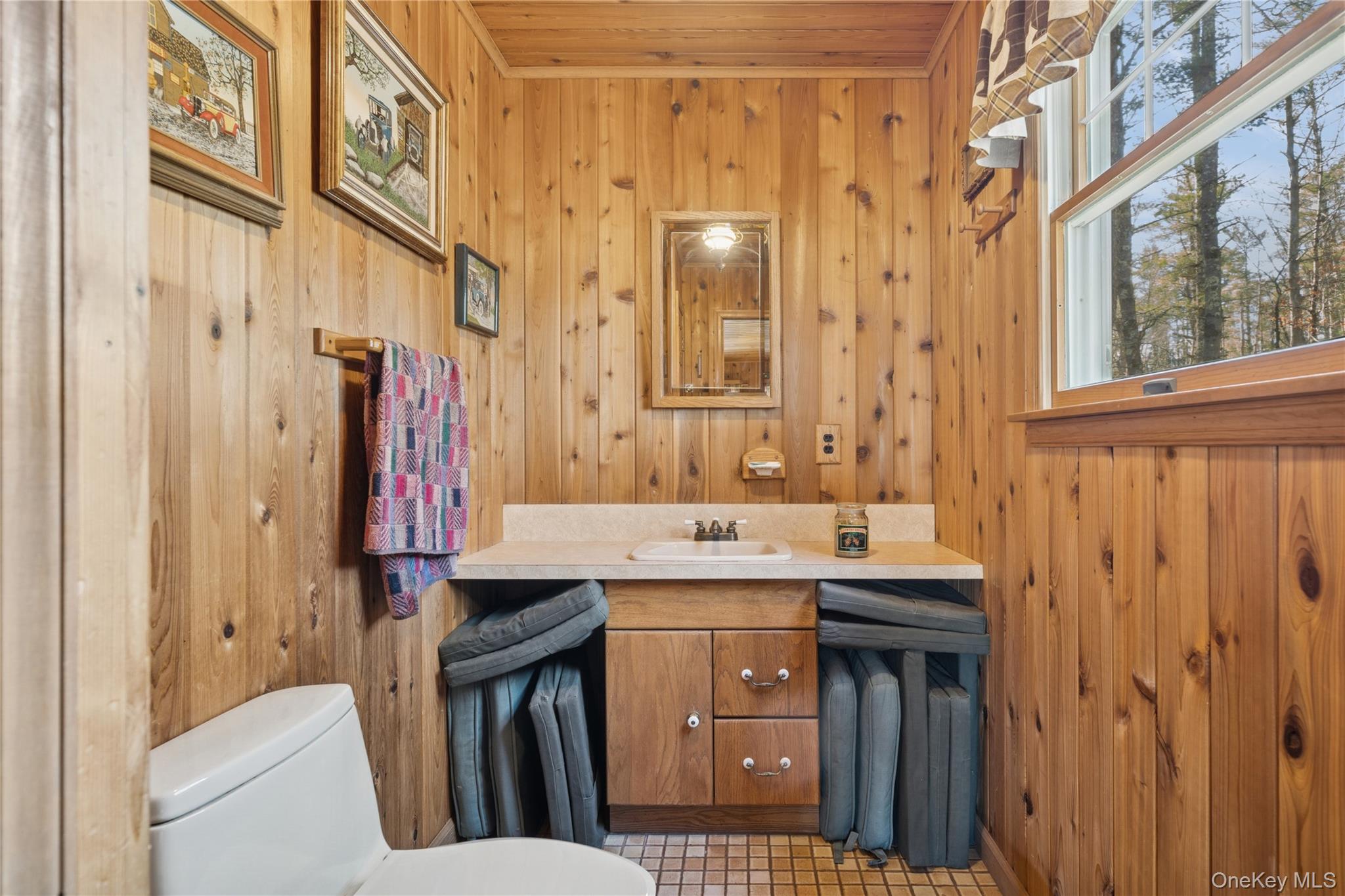 37 Nober Strunk Road Narrowsburg, NY 12764 - Photo 19 of 50 a bathroom with a sink a toilet and a mirror