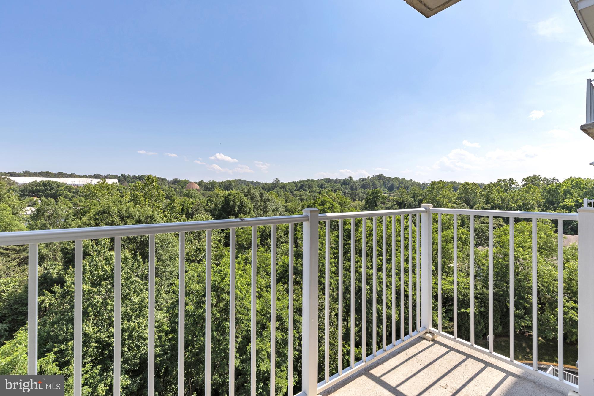 6301 Edsall Road, Unit 507 Alexandria, VA 22312 - Photo 26 of 40 South View