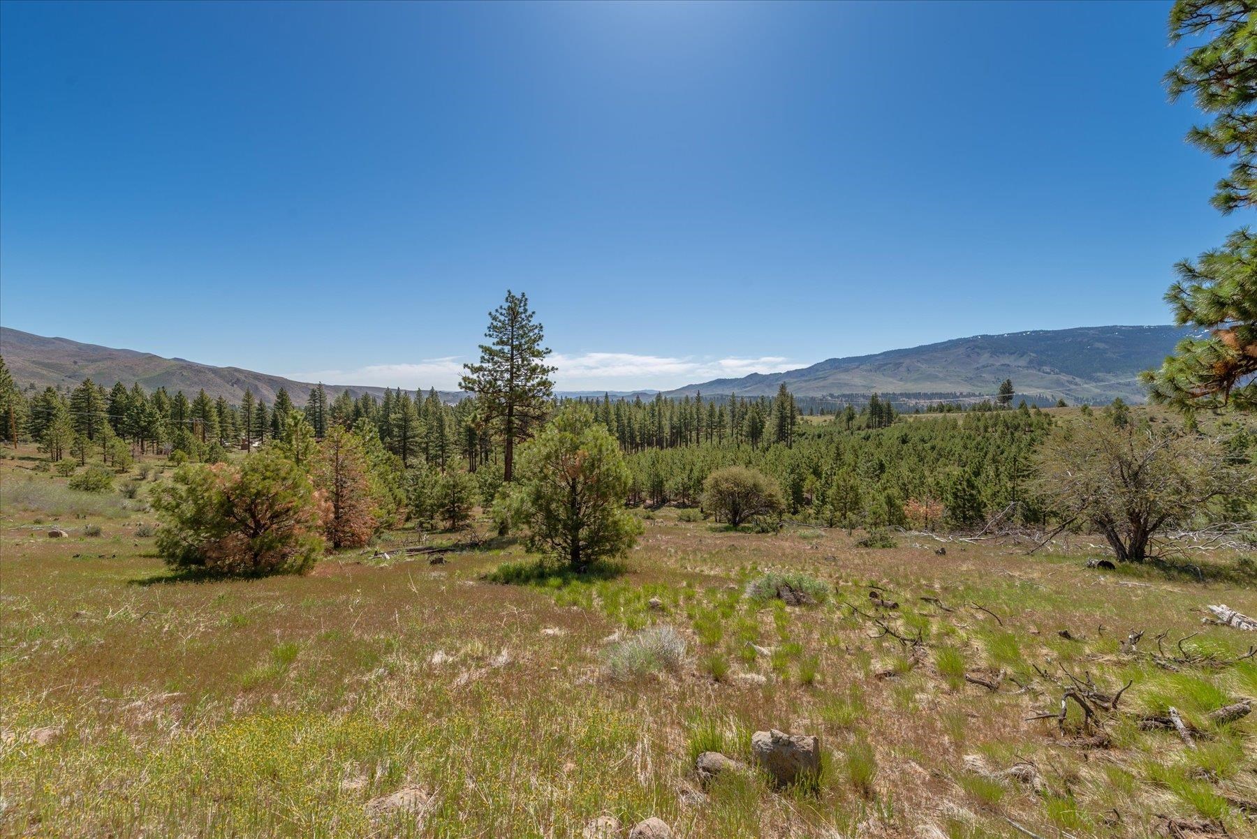 Feenune Road Loyalton, CA 96118 - Photo 16 of 28