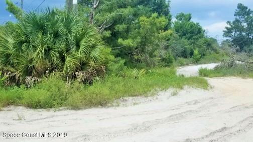 4165 Hog Valley Road Mims, FL 32754 - Photo 10 of 24 68829456_1341658009332960_24530152948813