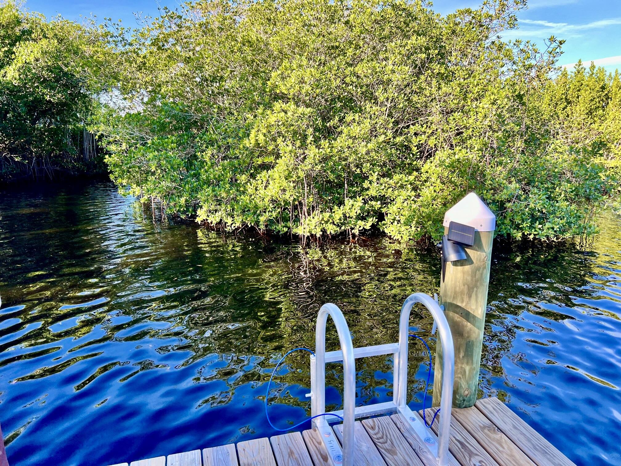 34 Sunset Drive Sebastian, FL 32958 - Photo 26 of 63 a backyard of a house with table and chairs