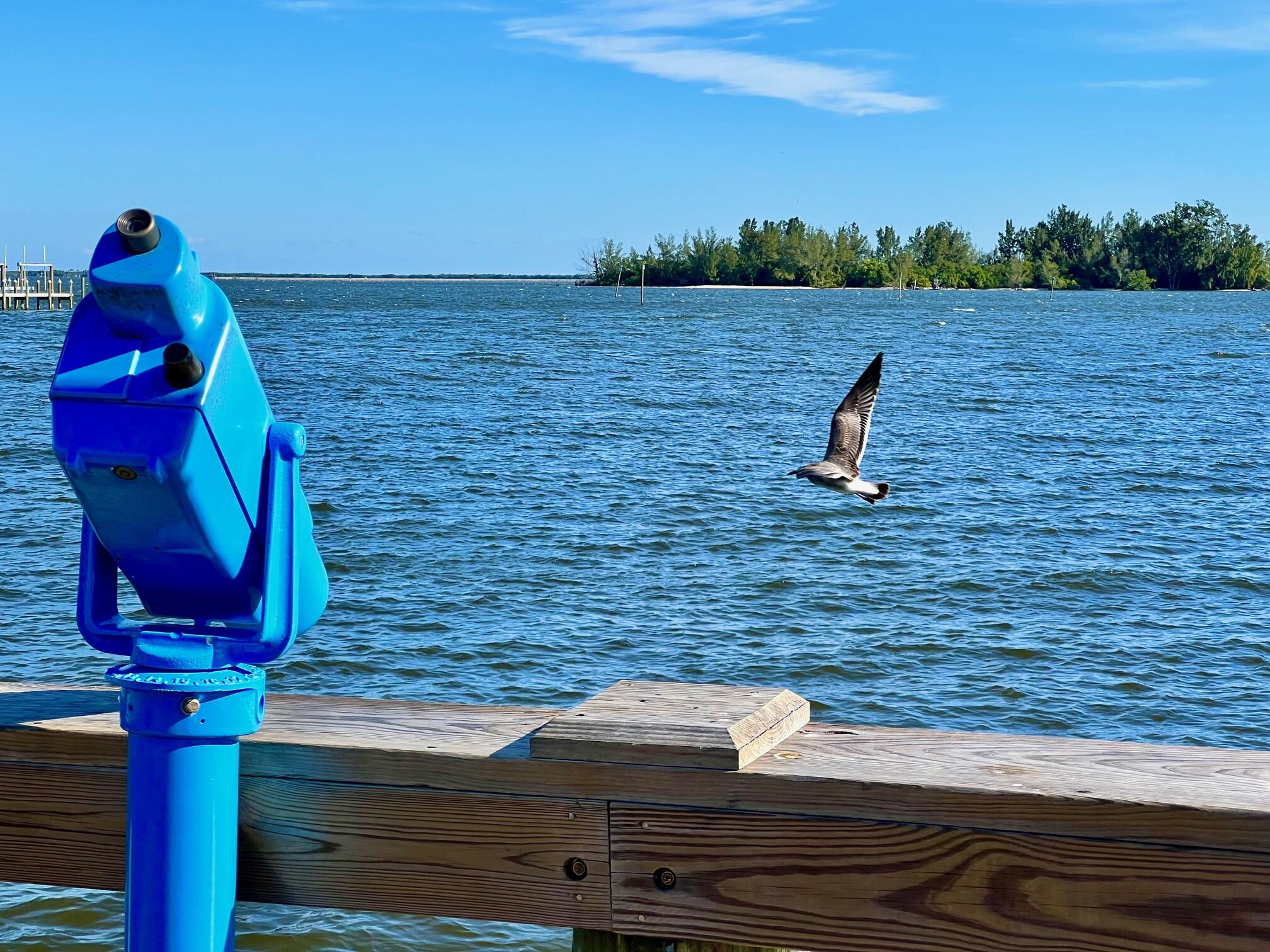 34 Sunset Drive Sebastian, FL 32958 - Photo 48 of 63 IMG_1403