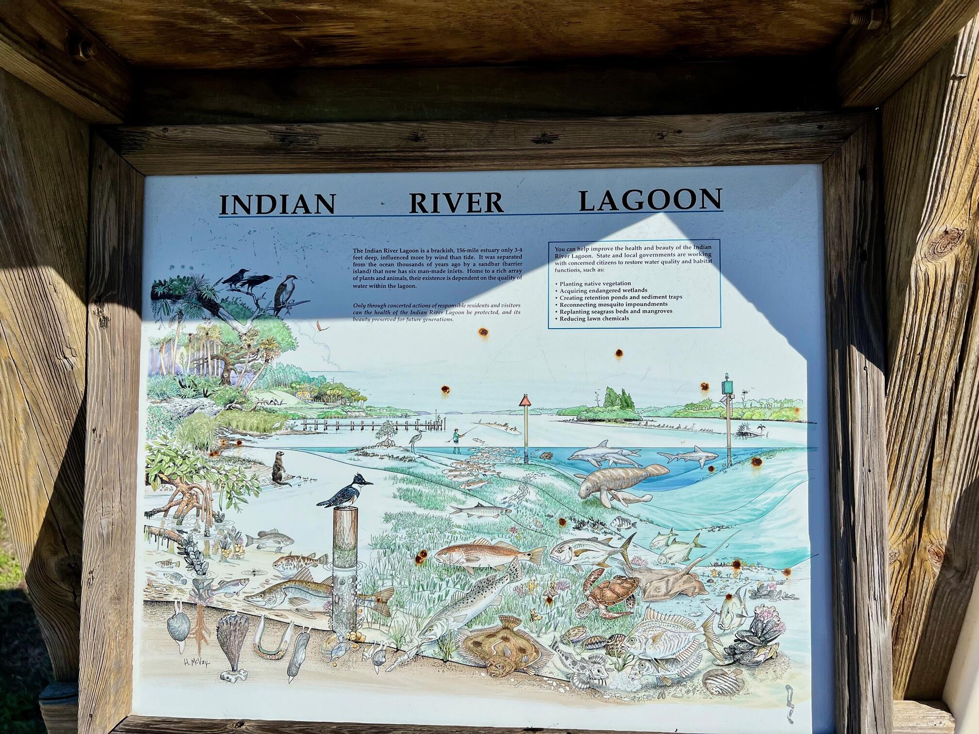 34 Sunset Drive Sebastian, FL 32958 - Photo 61 of 63 IMG_1435