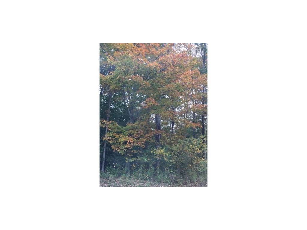 Rear County Rd 2 Greene, NY 13778 - Photo 2 of 3 Gallery Image 2