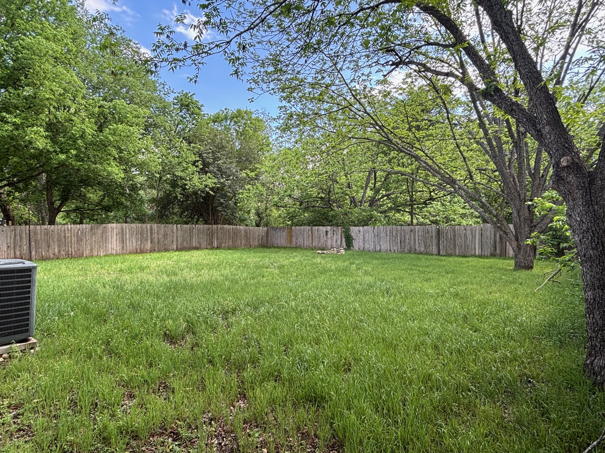 635 West Dittmar Road Austin, TX 78748 - Photo 6 of 34 Back yard with plenty of space to grow.
