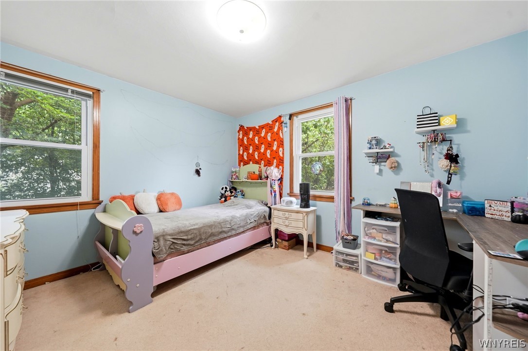 5955 Dover Road Hamburg, NY 14085 - Photo 21 of 36 Gallery Image 21