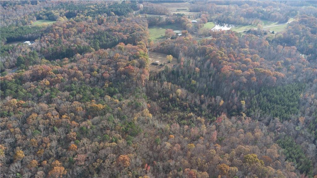 1432 West Chrisco Road Seagrove, NC 27341 - Photo 6 of 20