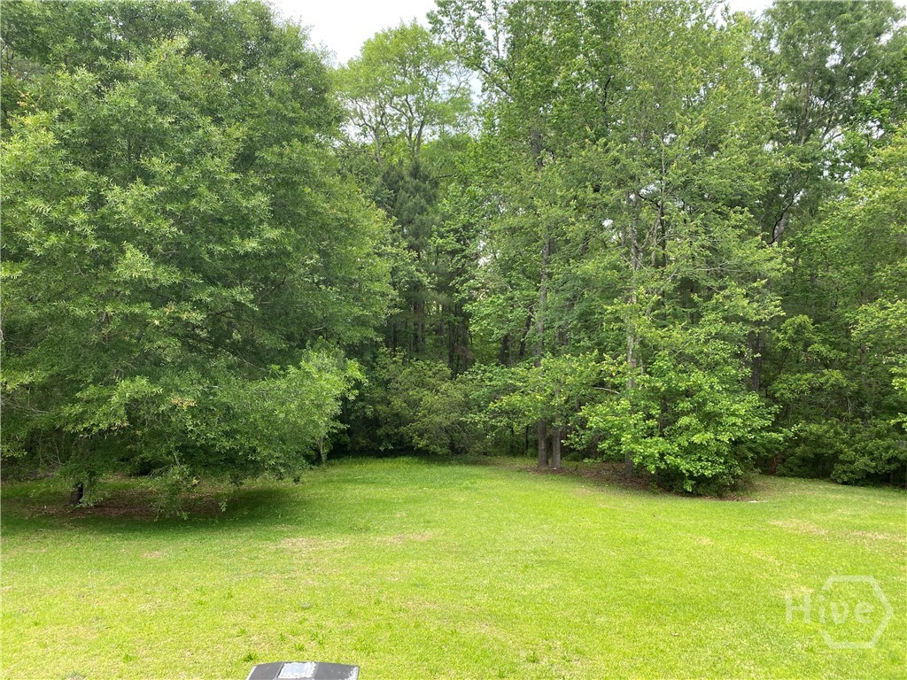 112 Lake Tomacheechee Drive Rincon, GA 31326 - Photo 24 of 25