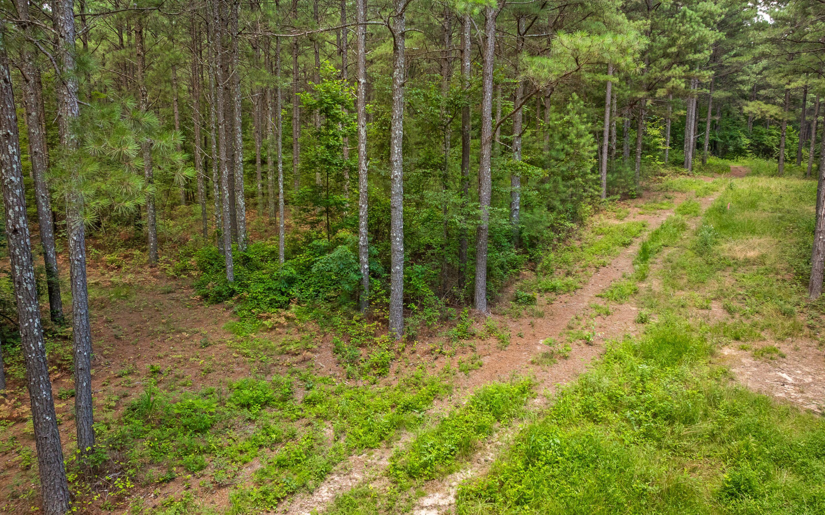 Lot 2045 Constellation Court Guild, TN 37340 - Photo 11 of 23 Private and Secluded