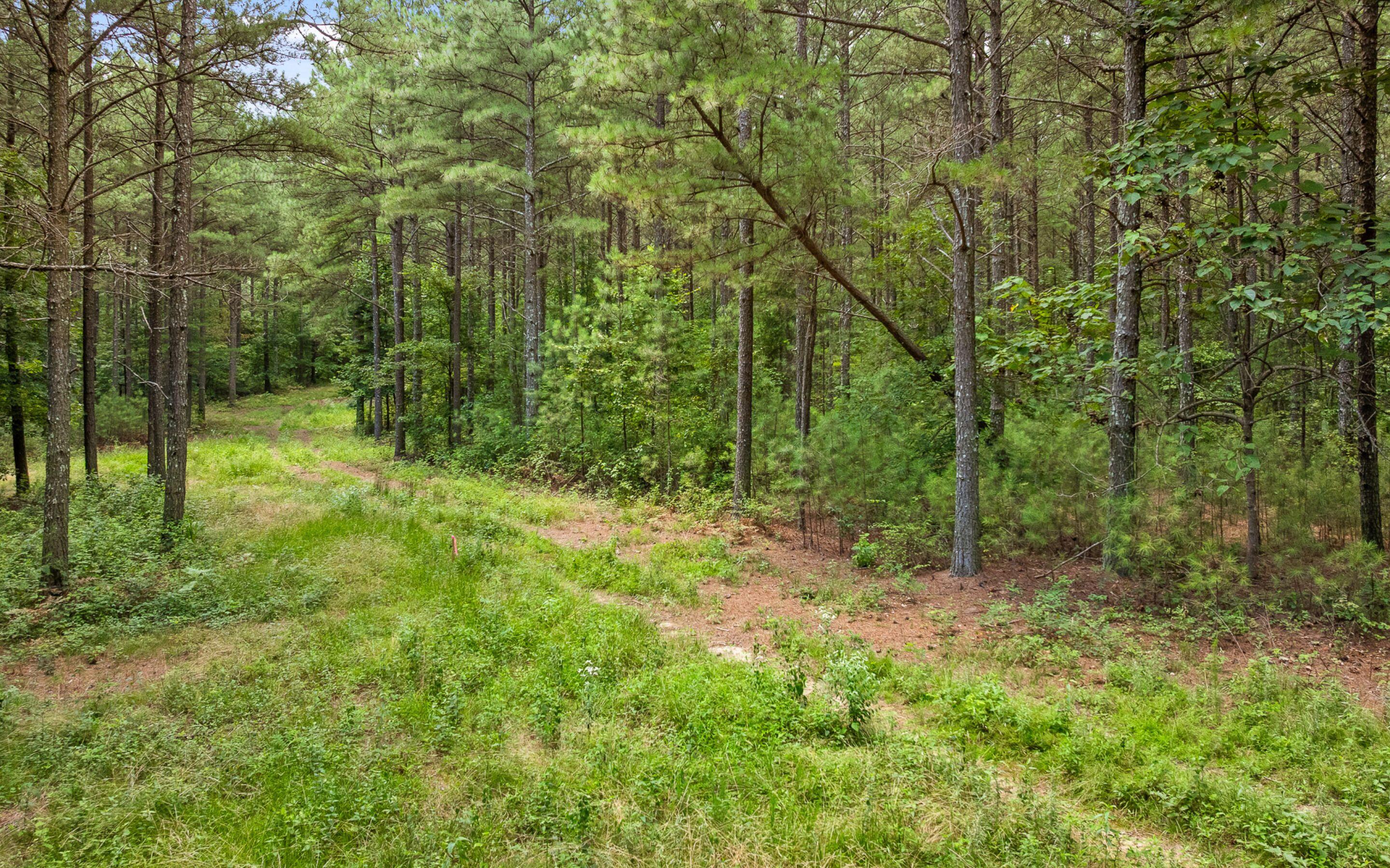Lot 2045 Constellation Court Guild, TN 37340 - Photo 12 of 23 Many Mature Trees