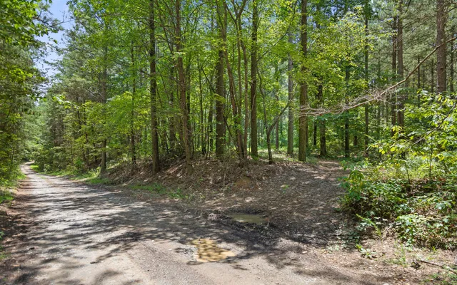 $149,000 | Lot 2045 Constellation Court, Guild, TN 37340