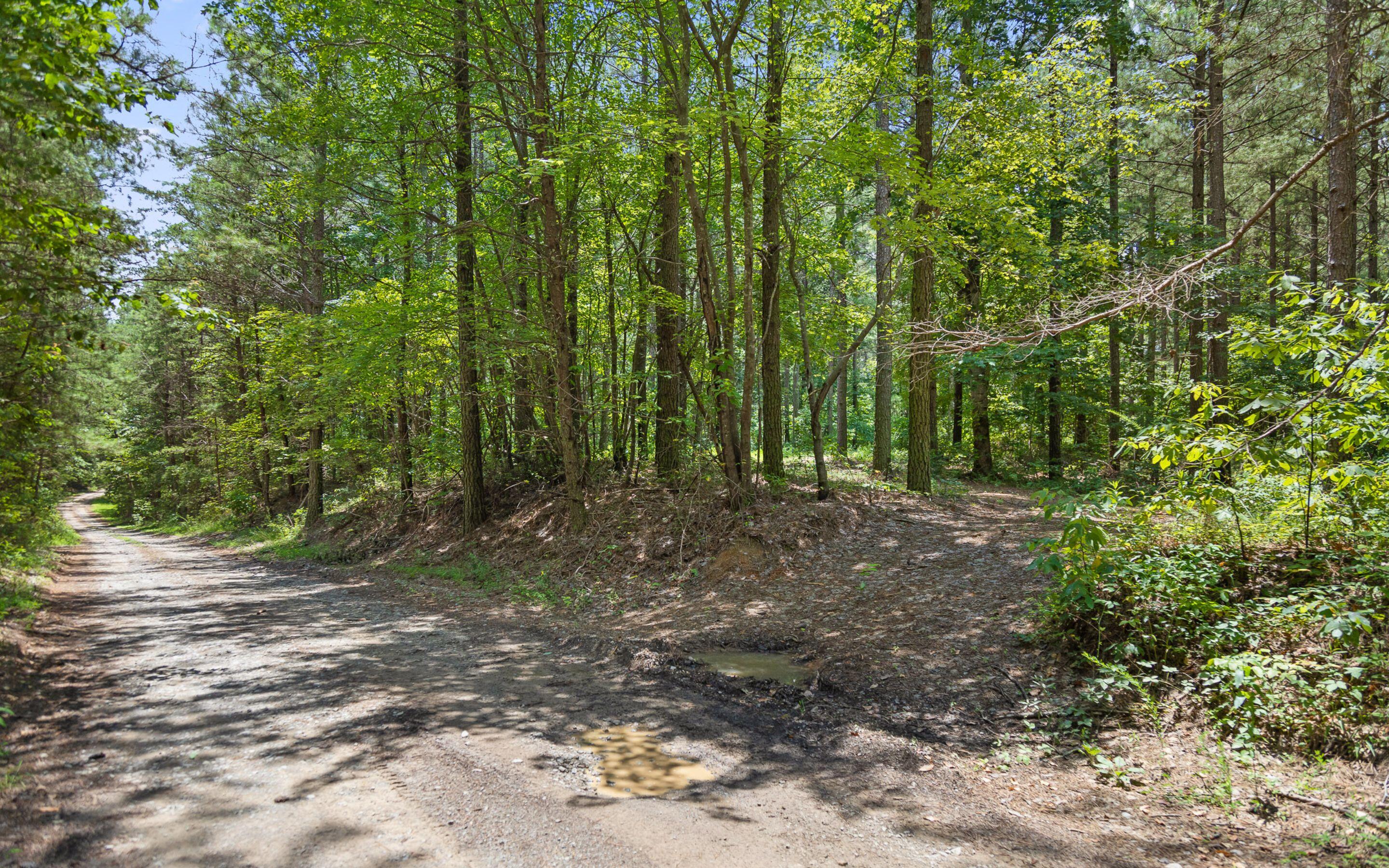 Lot 2045 Constellation Court Guild, TN 37340 - Photo 13 of 23 Road Frontage