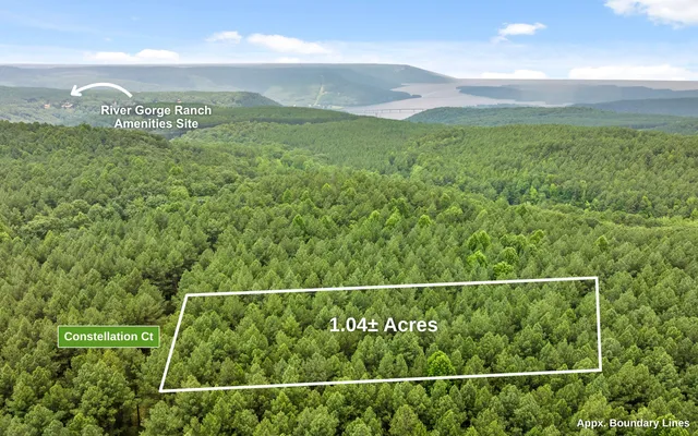 $149,000 | Lot 2045 Constellation Court, Guild, TN 37340