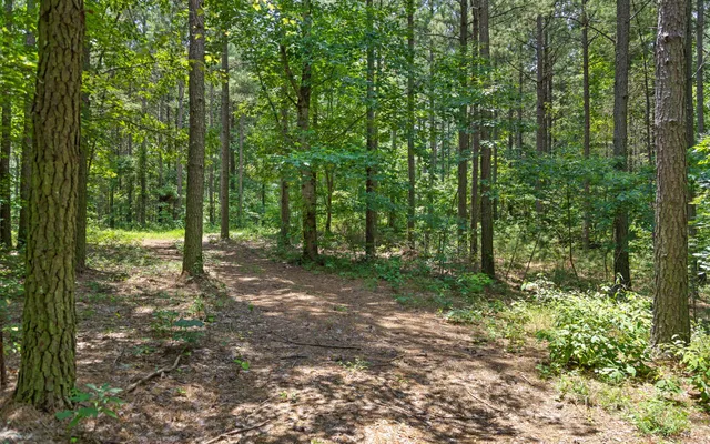 $149,000 | Lot 2045 Constellation Court, Guild, TN 37340