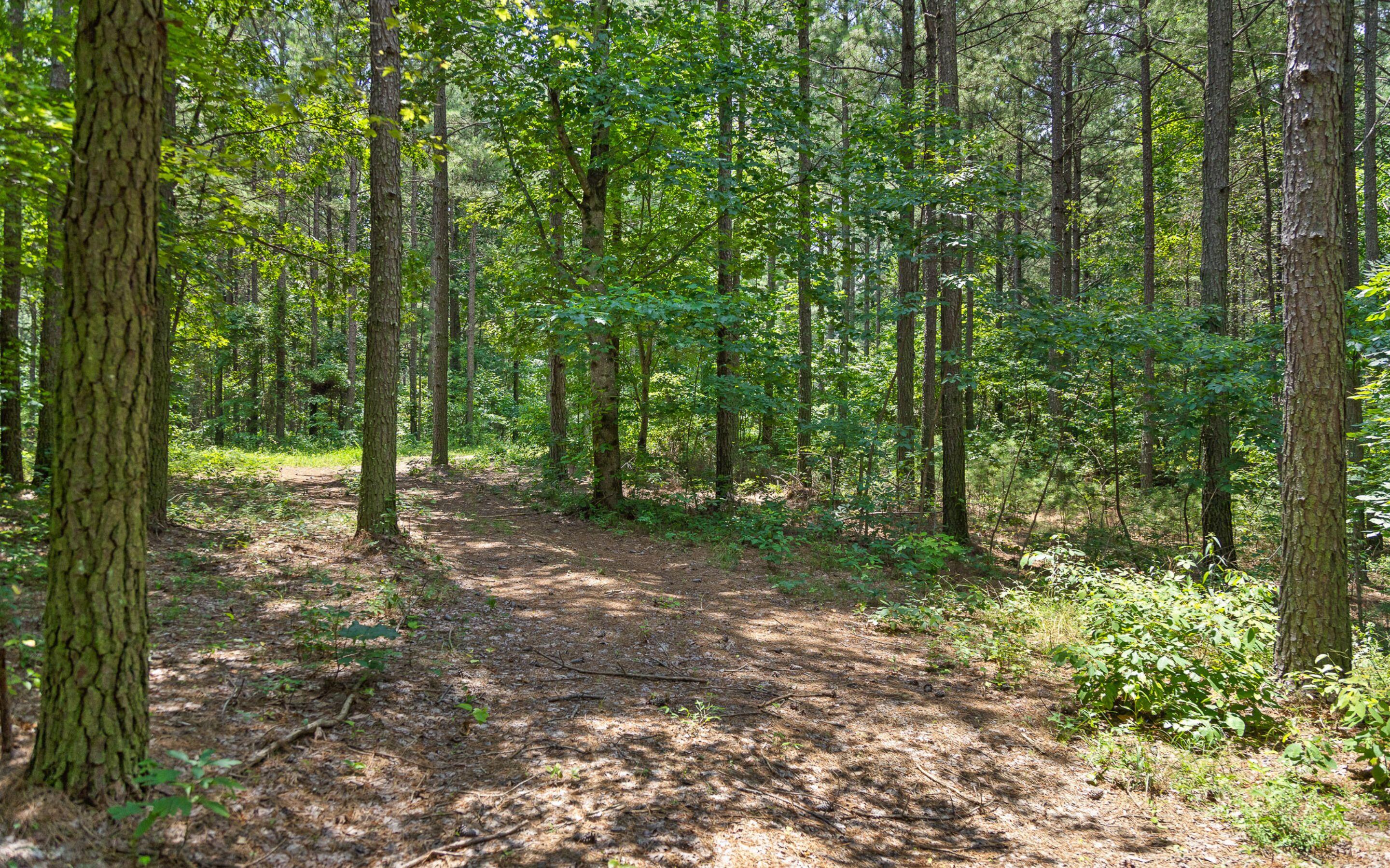 Lot 2045 Constellation Court Guild, TN 37340 - Photo 7 of 23 Beautifully Wooded Homesite
