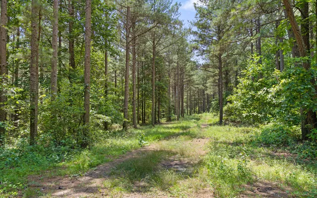 $149,000 | Lot 2045 Constellation Court, Guild, TN 37340