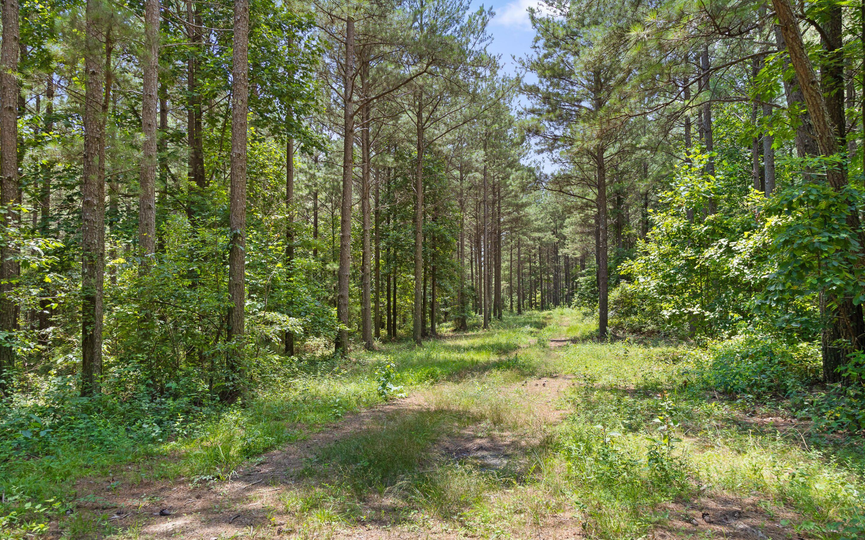 Lot 2045 Constellation Court Guild, TN 37340 - Photo 9 of 23 Imagine Your Dream Home Here