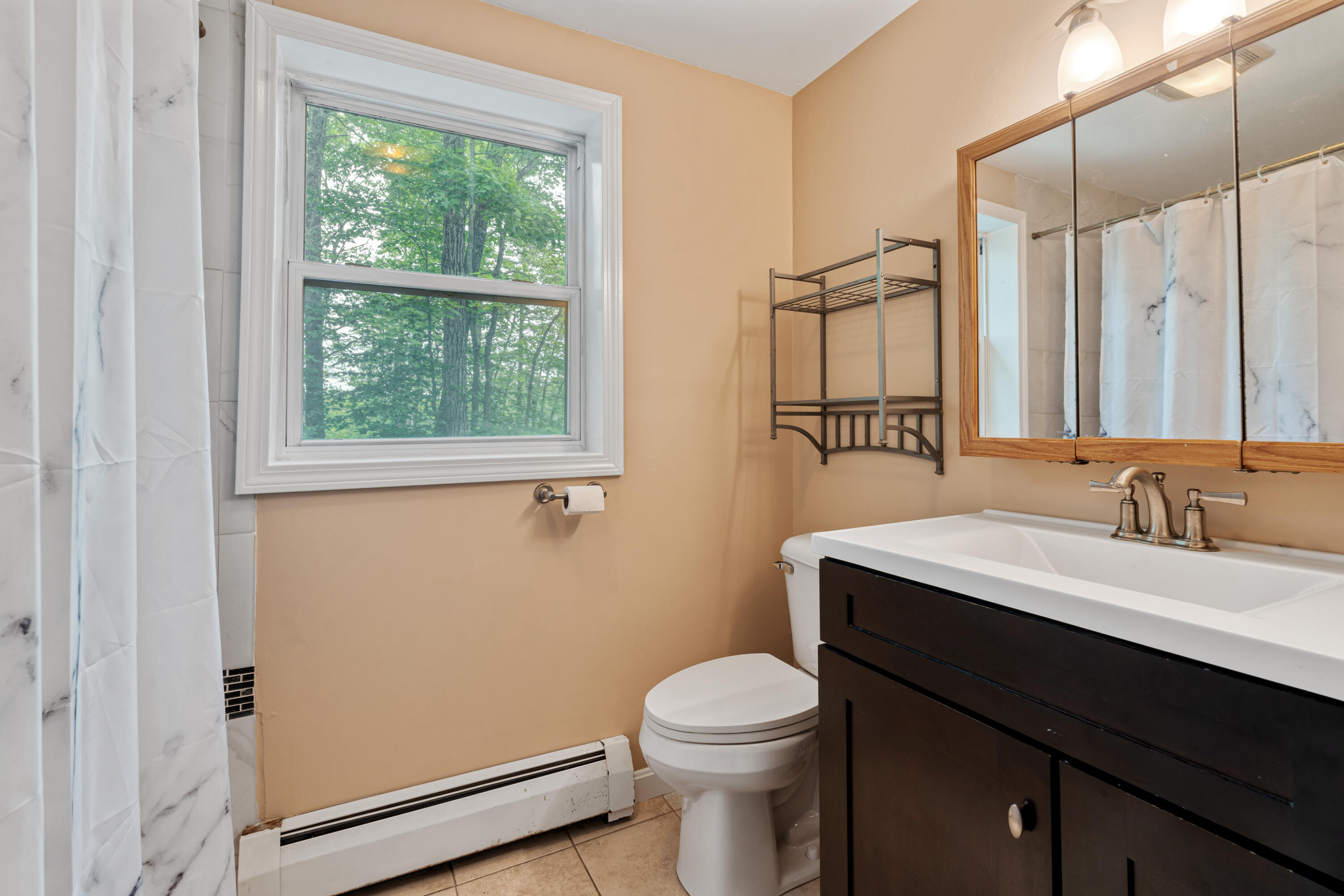204 Youngs Ridge Road Acton, ME 04001 - Photo 16 of 38 DSC08342