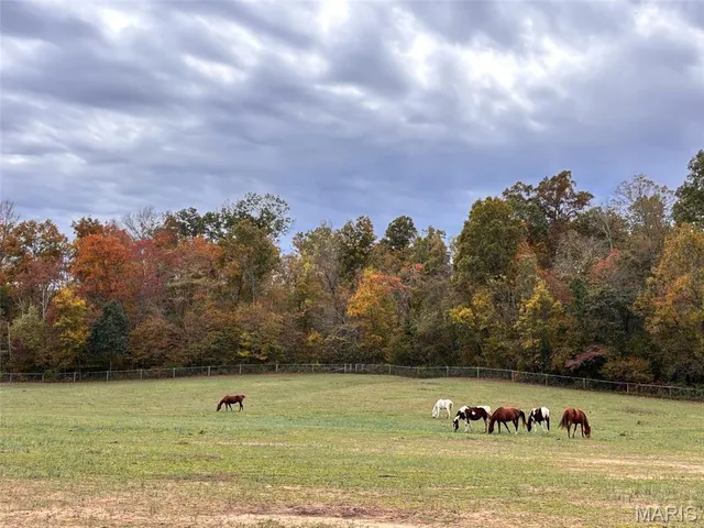 $1,300,000 | 352 Madison Wayne 9305, Marquand, MO 63655