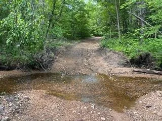 $1,300,000 | 352 Madison Wayne 9305, Marquand, MO 63655