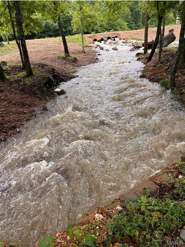 $1,300,000 | 352 Madison Wayne 9305, Marquand, MO 63655