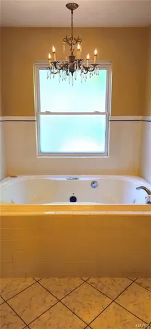 $1,300,000 | 352 Madison Wayne 9305, Marquand, MO 63655