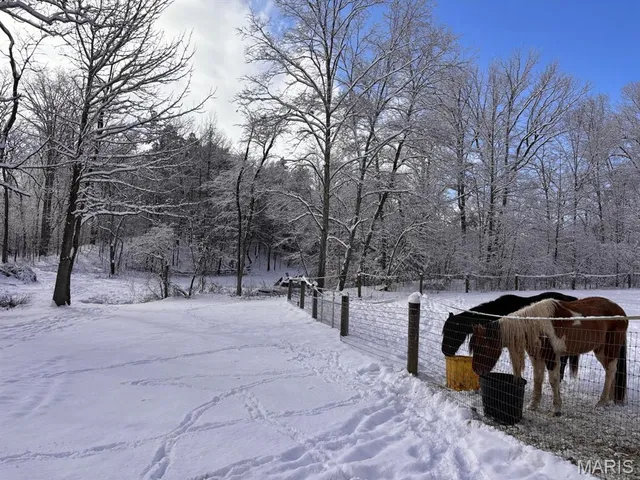 $1,300,000 | 352 Madison Wayne 9305, Marquand, MO 63655