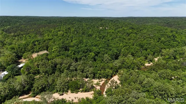 $1,300,000 | 352 Madison Wayne 9305, Marquand, MO 63655